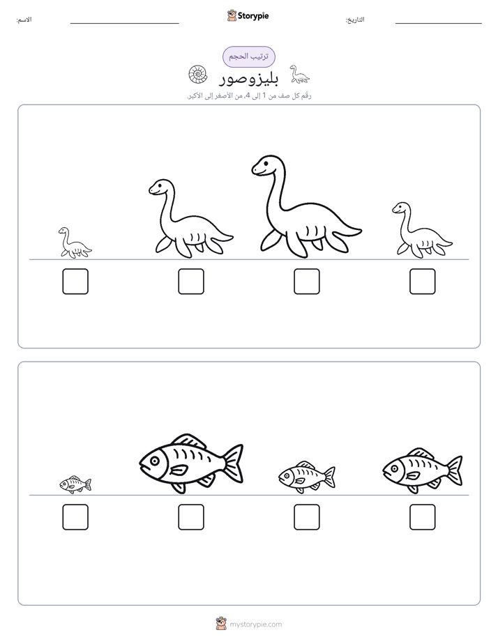 ترتيب الحجم