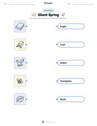 Silent Spring printable worksheet preview