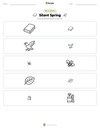 Silent Spring printable worksheet preview