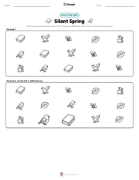 Silent Spring printable worksheet preview