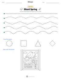 Silent Spring printable worksheet preview