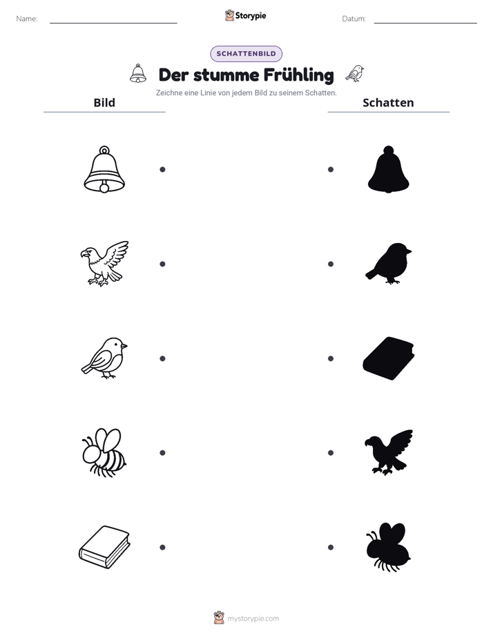 Schattenmatch