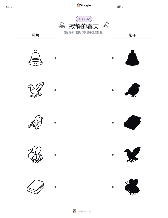 影子匹配