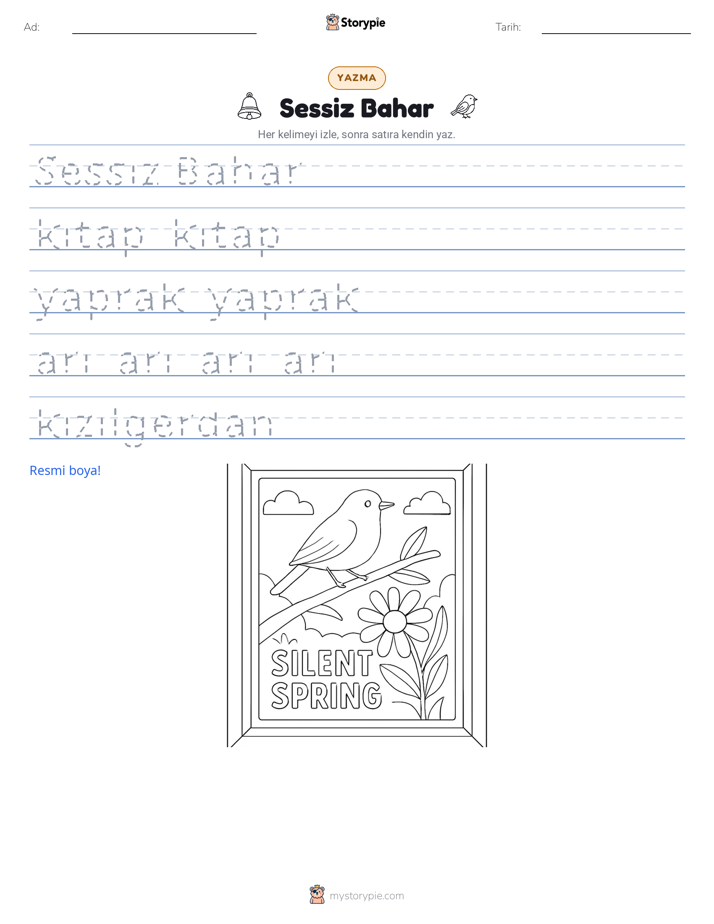 Yazma Pratiği