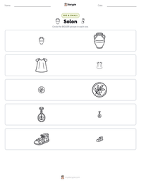 Solon printable worksheet preview