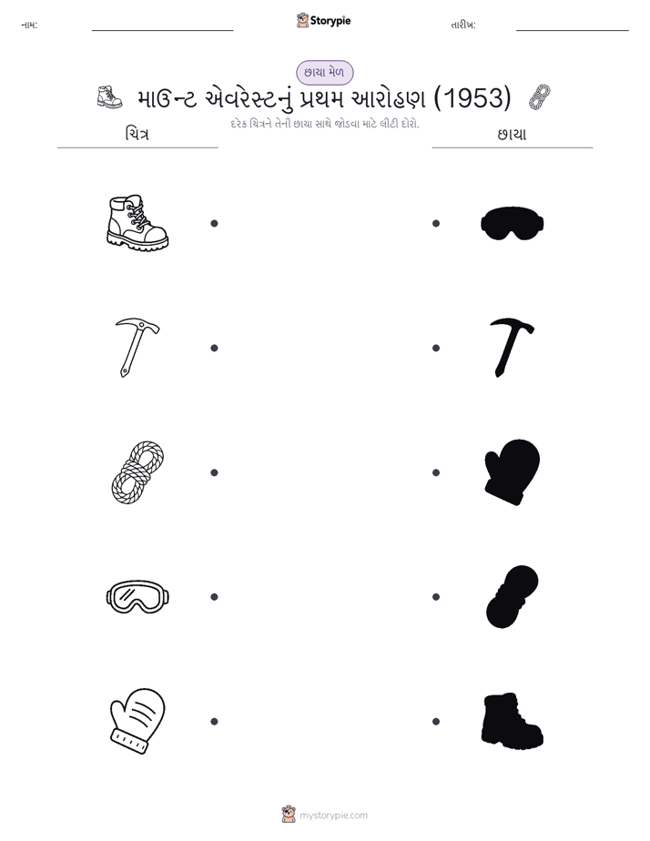 શેડો મેચ