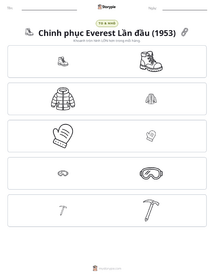 Phân Loại