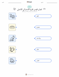 ورقة عمل قابلة للطباعة ثعبان قوس قزح للأطفال