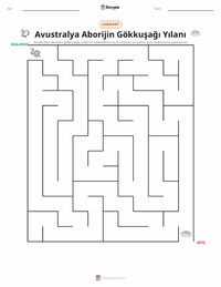 Gökkuşağı Yılanı yazdırılabilir çalışma sayfası önizlemesi