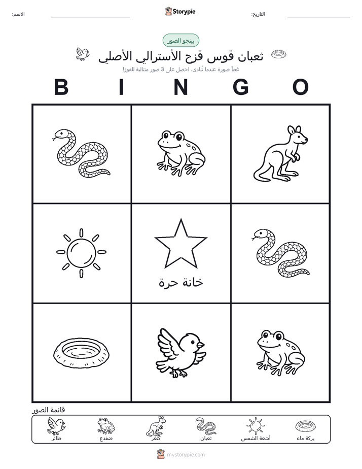 بينغو الصور