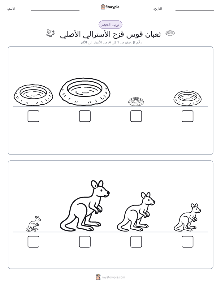 ترتيب الحجم