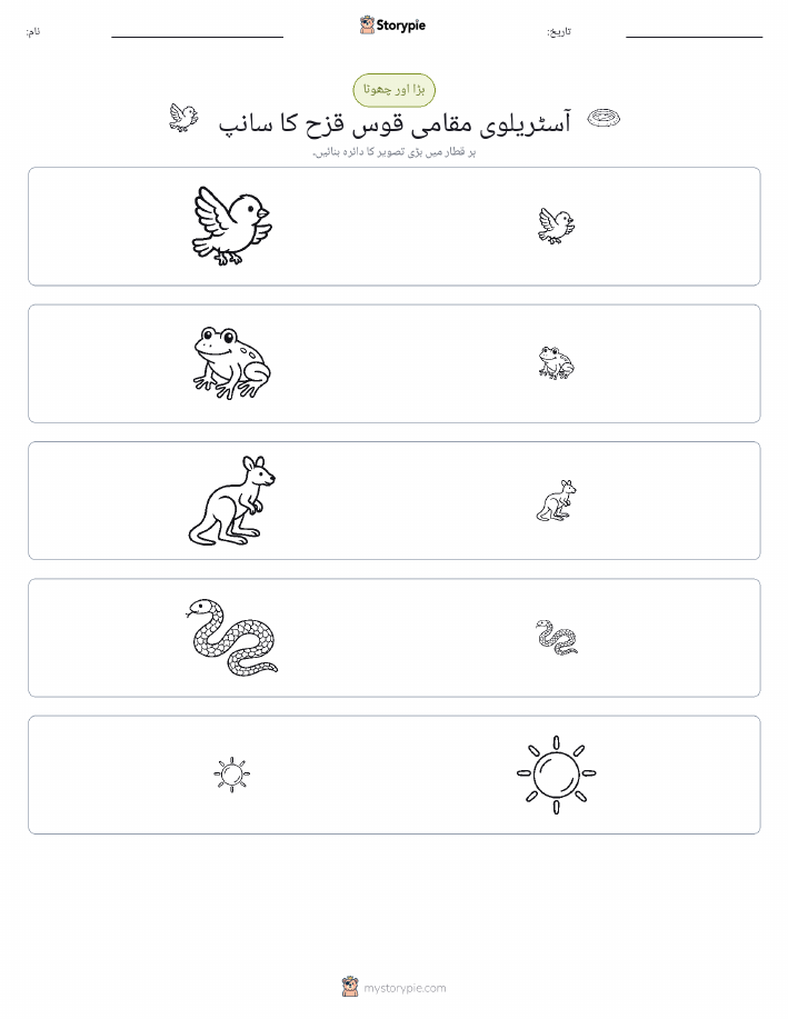 ترتیب دینا