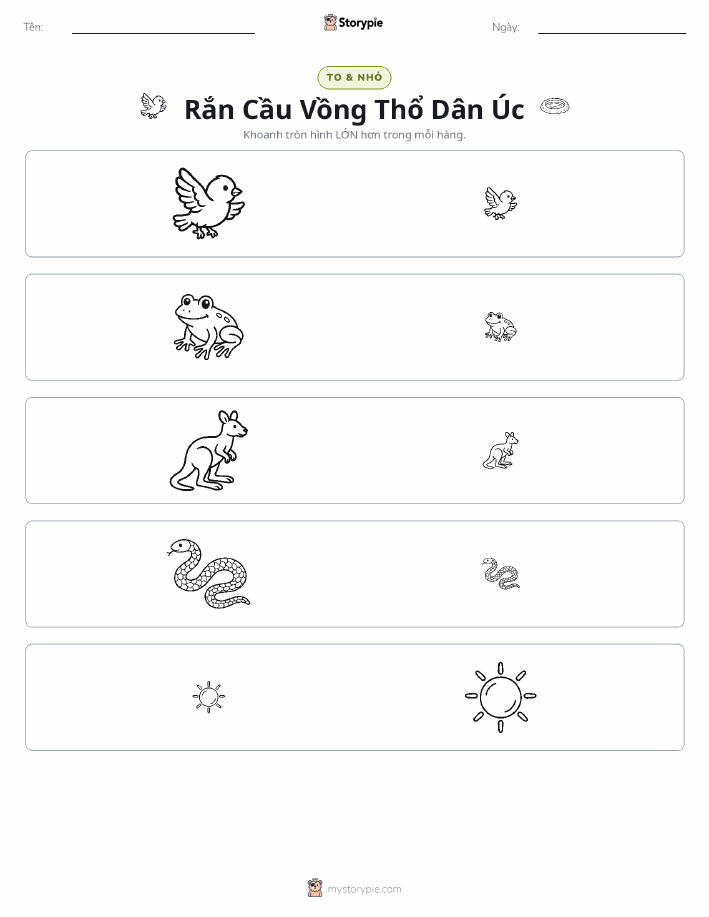 Phân Loại