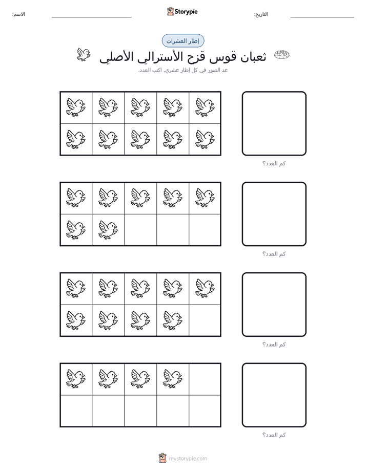 إطار العشرة