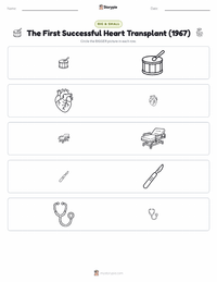 The First Successful Heart Transplant (1967) printable worksheet preview