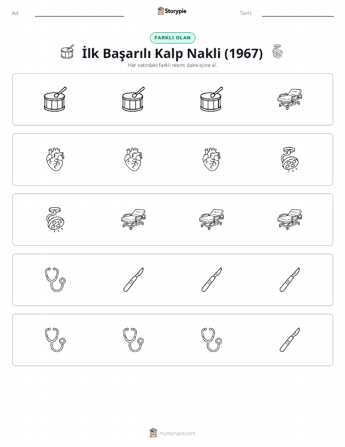 Farklı Olanı Bul