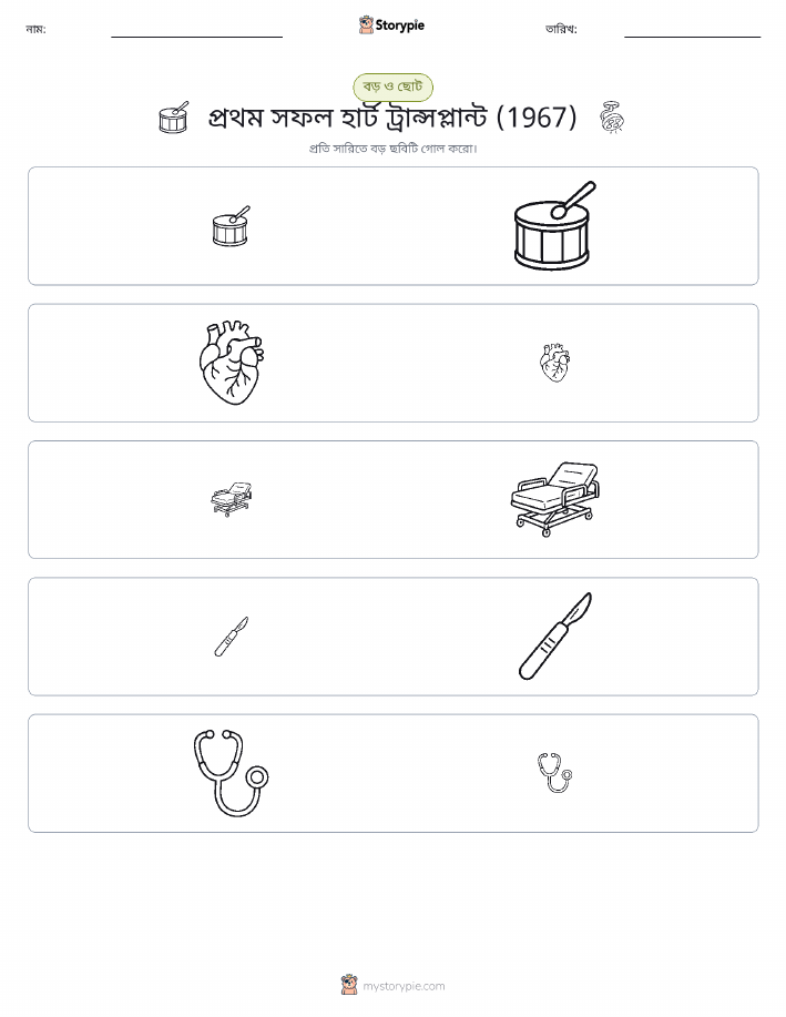 সাজানো