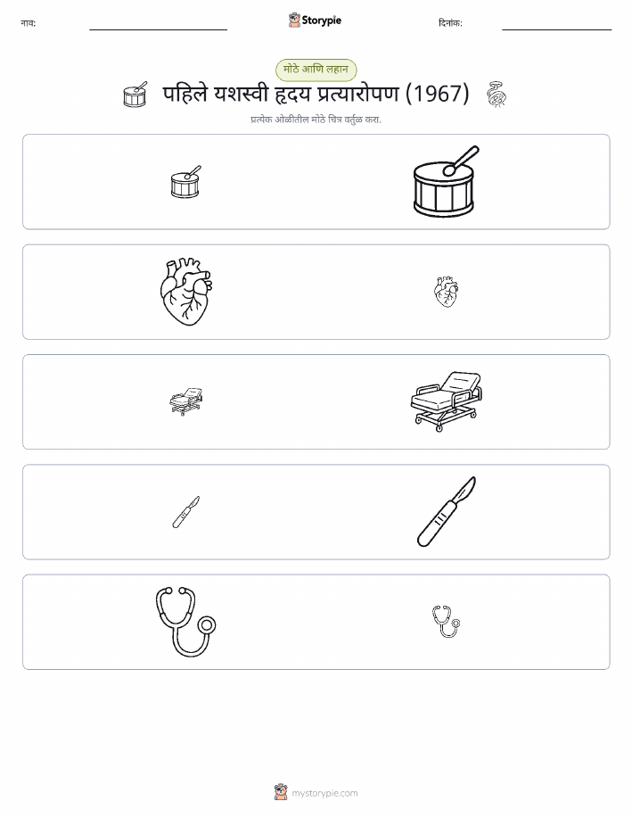 वर्गीकरण