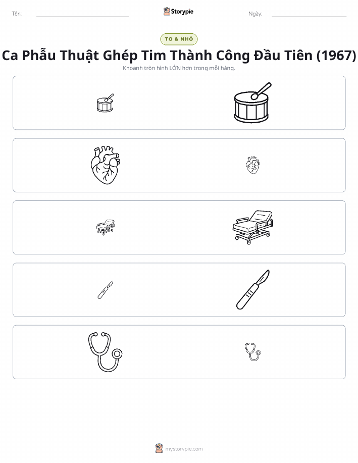 Phân Loại