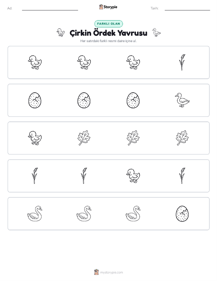 Farklı Olanı Bul