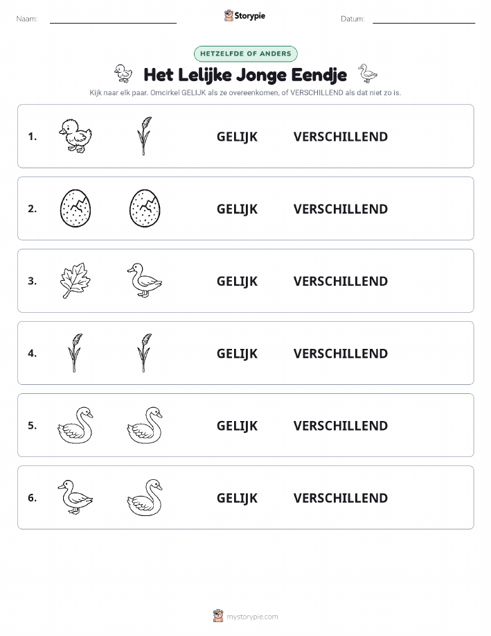Zelfde of Verschillend