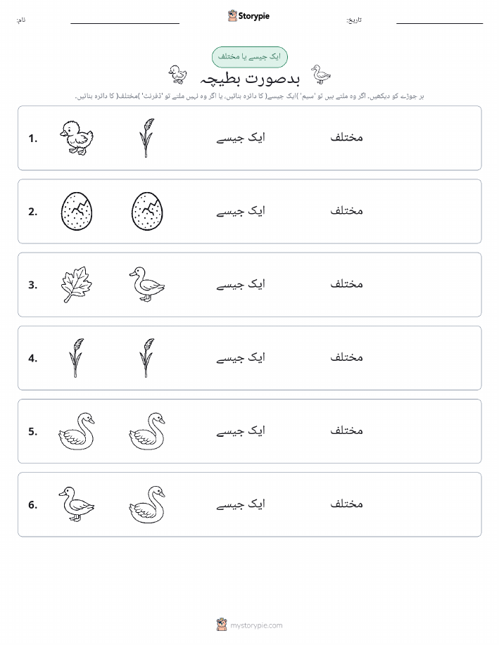 ایک جیسا یا مختلف