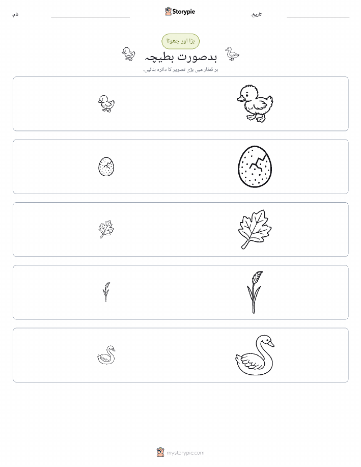 ترتیب دینا