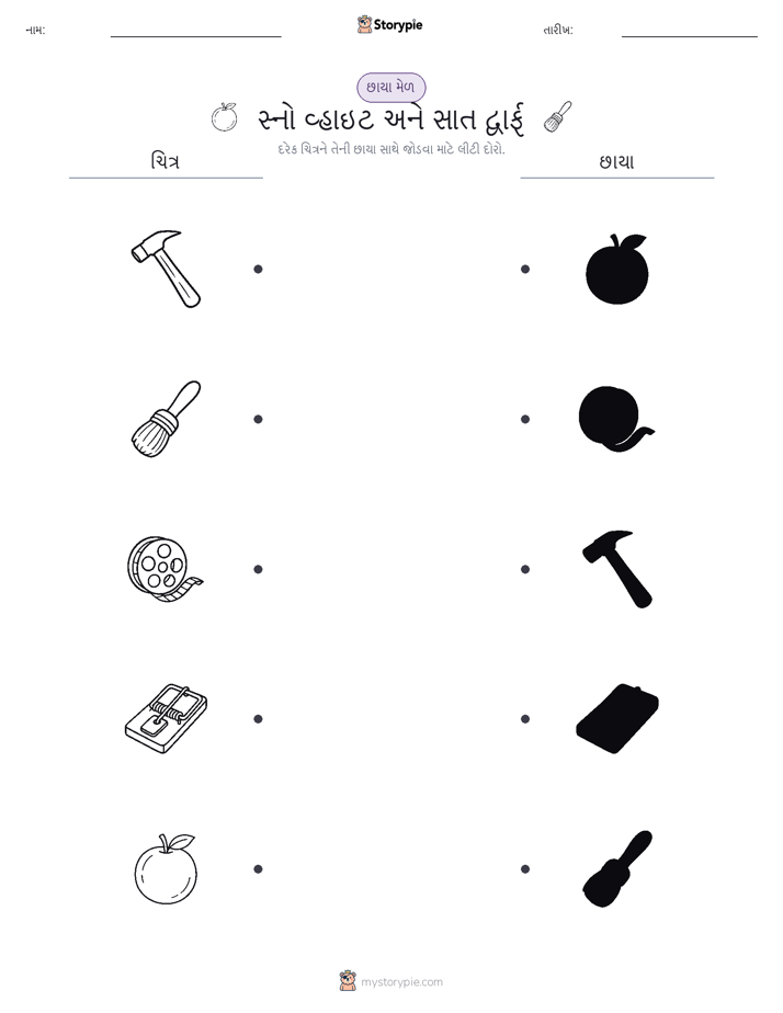 શેડો મેચ