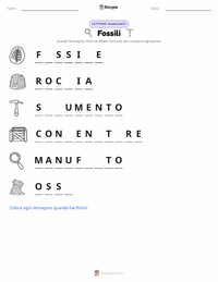Anteprima della scheda stampabile di Fossili