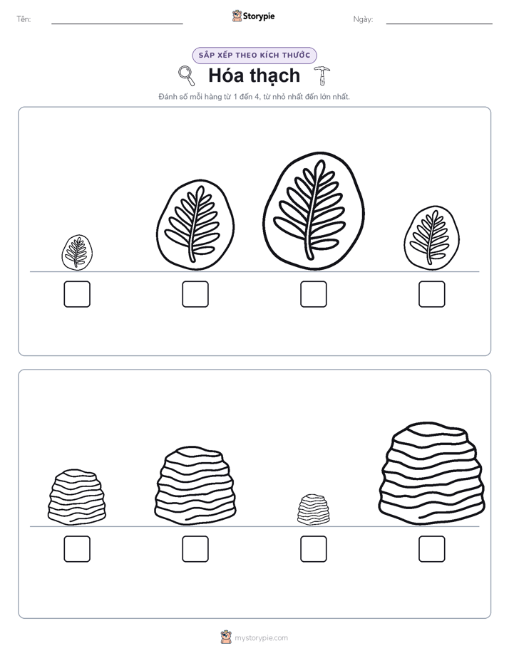 Thứ Tự Kích Thước