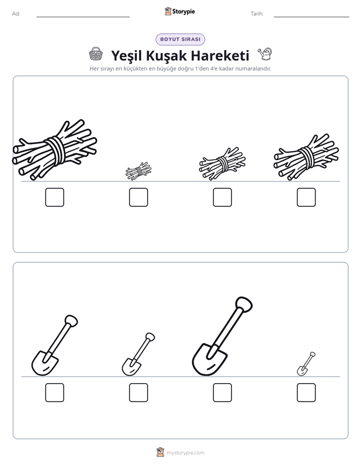 Boy Sıralaması
