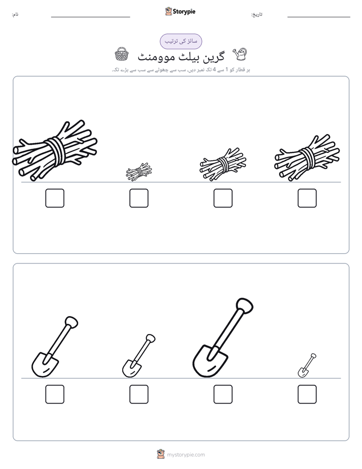 سائز کی ترتیب