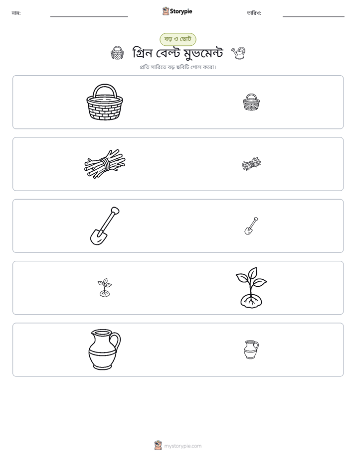সাজানো