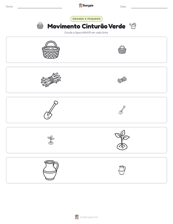 Classificação