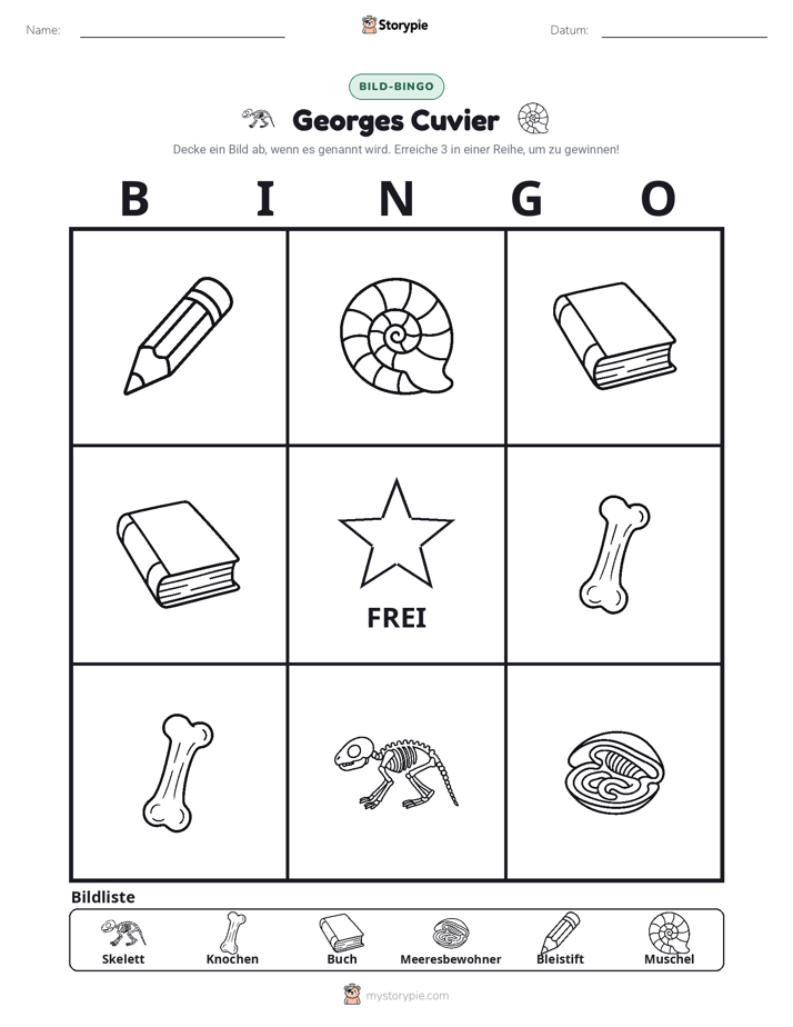 Bild-Bingo