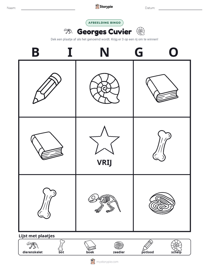 Afbeelding Bingo
