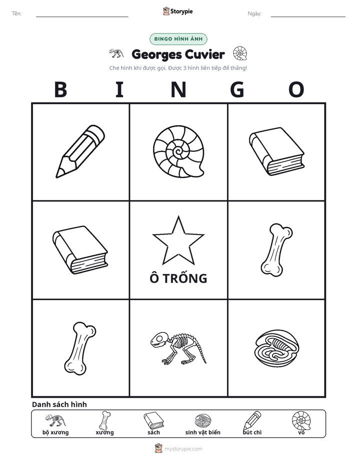 Bingo Hình Ảnh