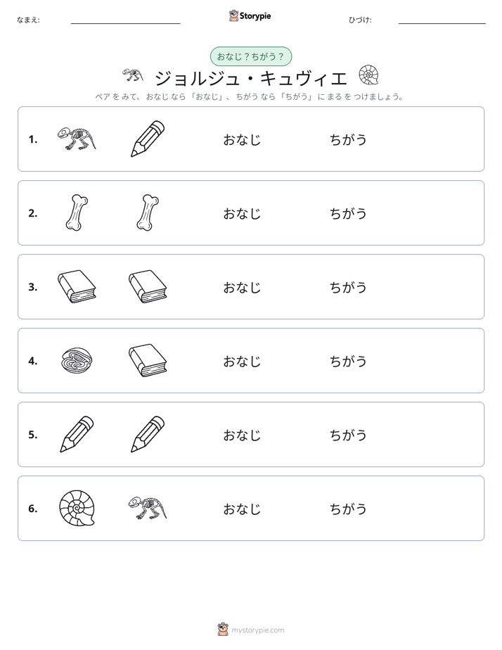 同じか違うか