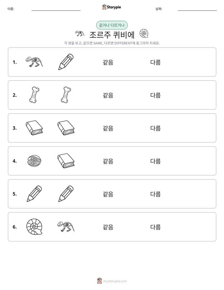 같은 것 또는 다른 것