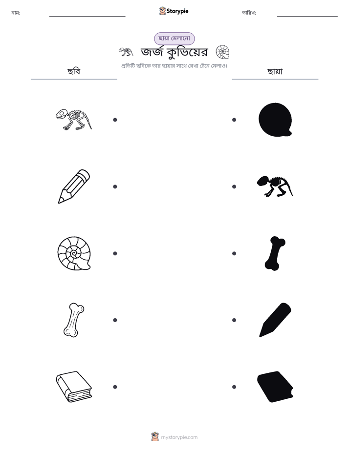 ছায়া মেলানো