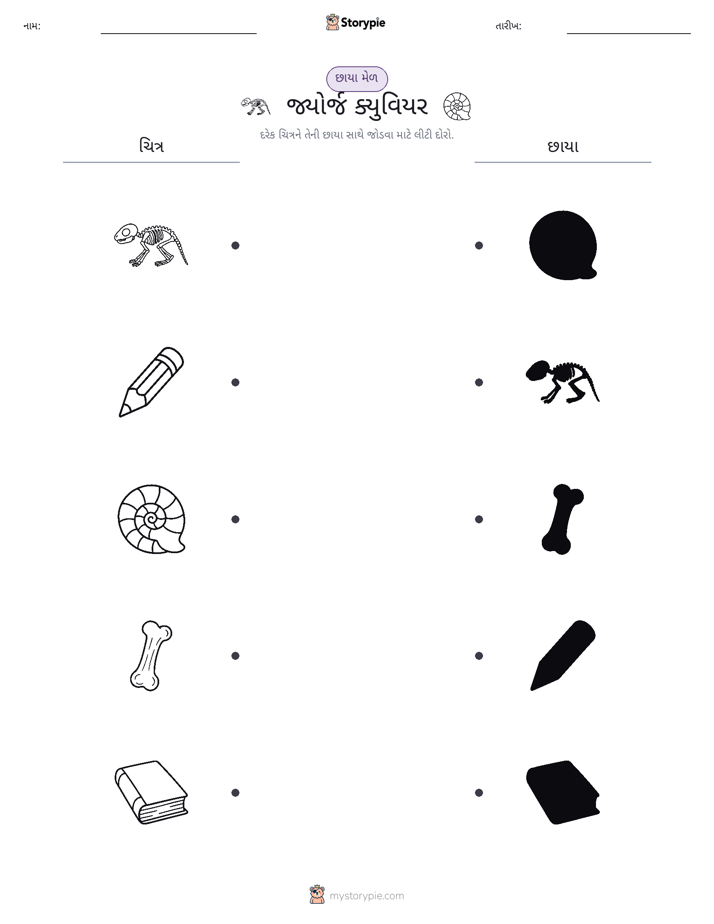 શેડો મેચ