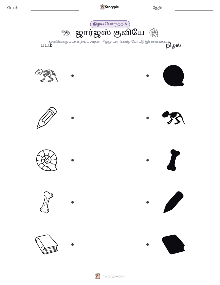 நிழல் பொருத்தம்