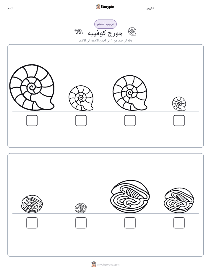 ترتيب الحجم