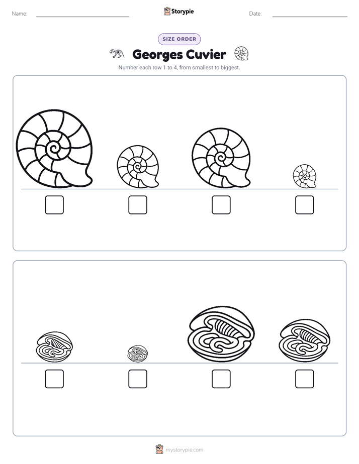 Size Order