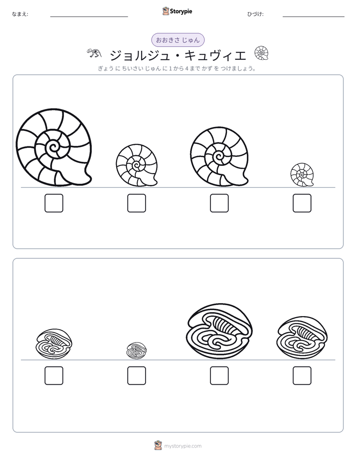 サイズ順