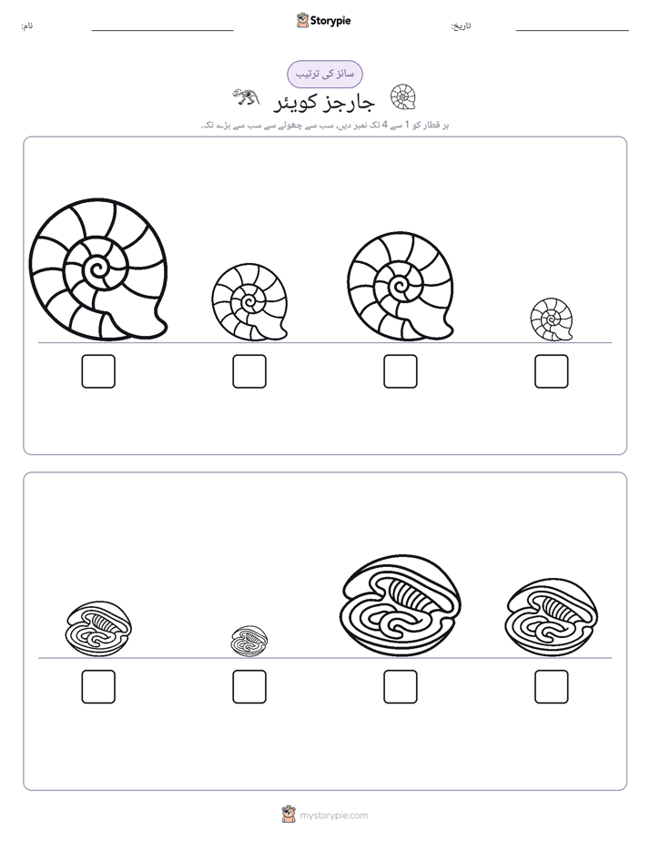 سائز کی ترتیب