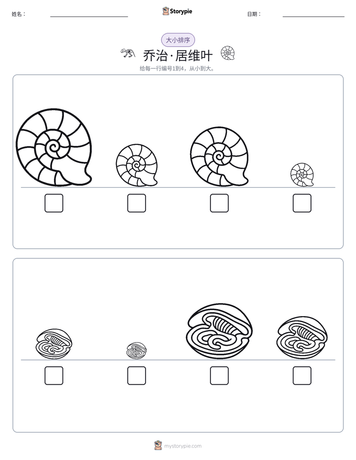 大小排序