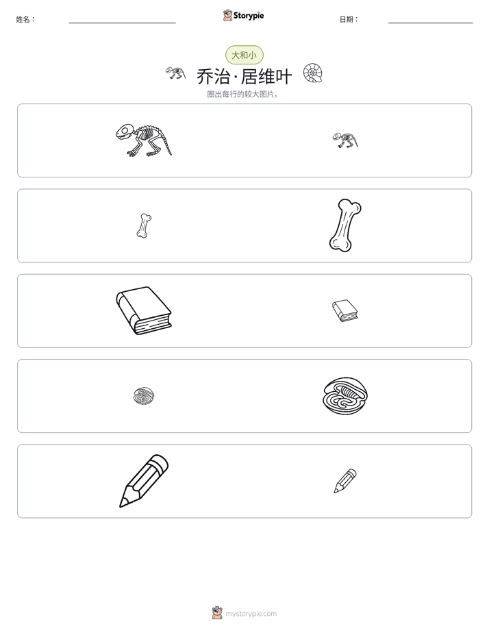 分类