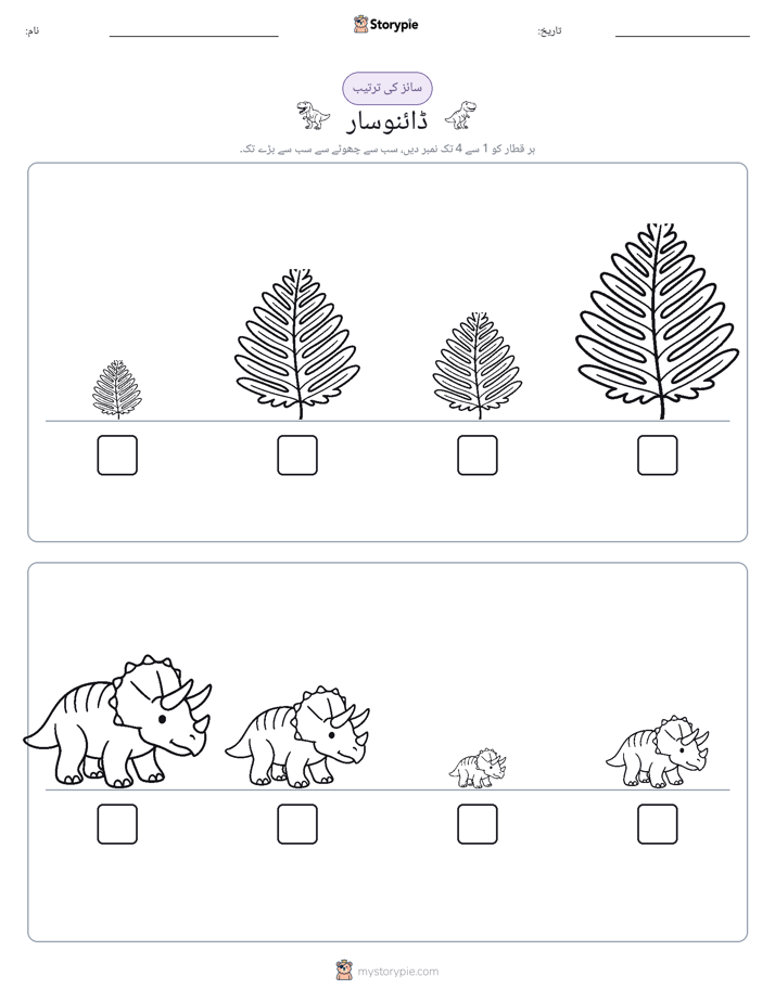 سائز کی ترتیب