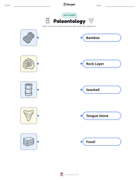 Paleontology printable worksheet preview